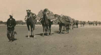 Afghan camel train
